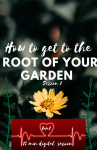Digital Session (How to start healing your Garden❤️‍🩹) session 1